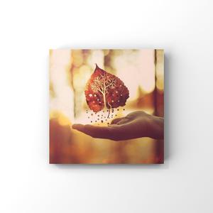 美女扣币币视频
