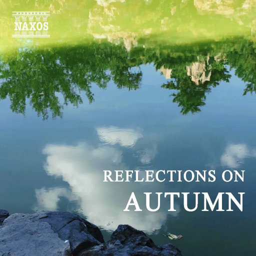 美女扣币币视频
